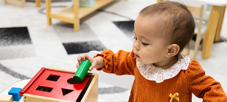 Brinquedos Montessori